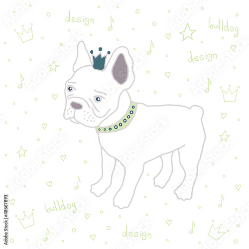bulldog fashion