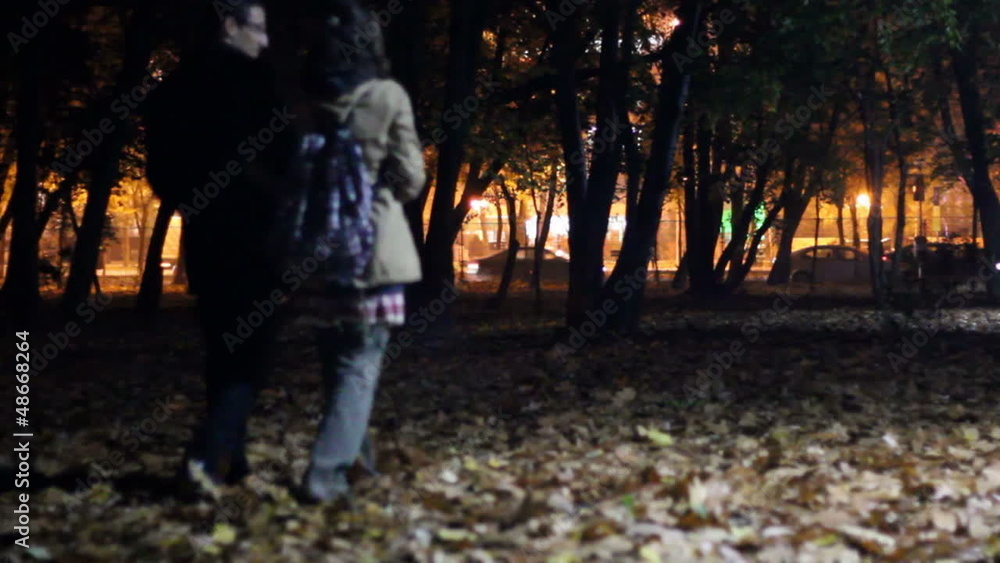 Lovers taking a walk in the park at night Lovers taking a walk in the park at night