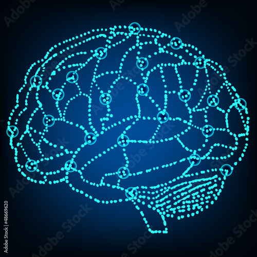 human brain model sketch