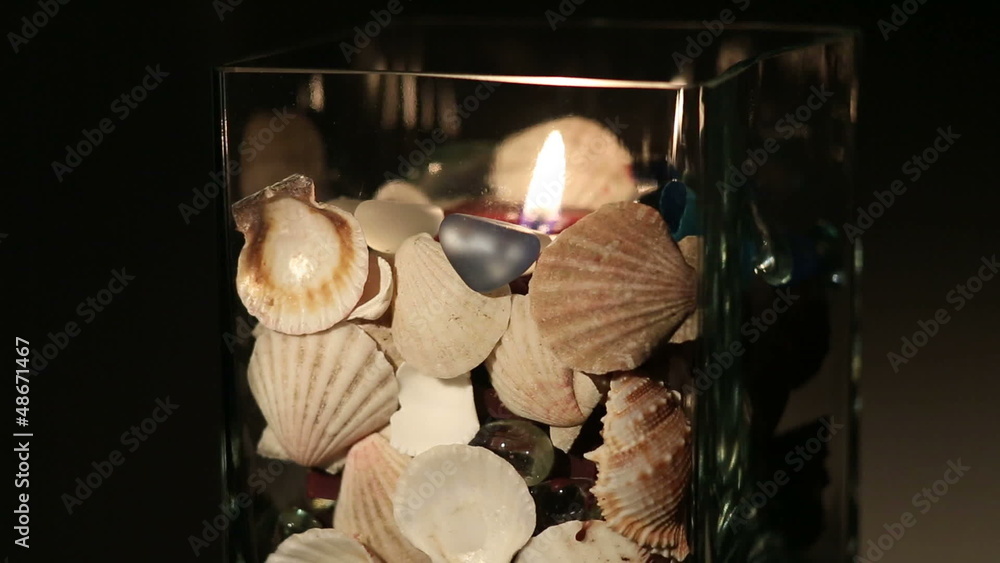 Морские ракушки Stock Video | Adobe Stock