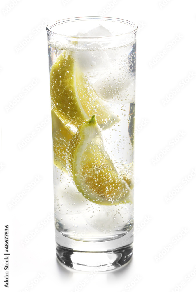 Fizzy Drink with Lemon Fizzy Drink with Lemon
