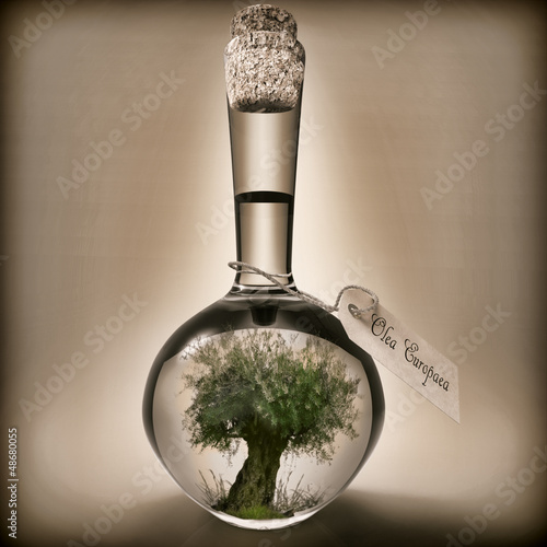 Botella con árbol de olivo photo
