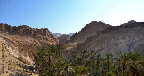 Wallpaper Mural Canyons and palm trees - an Oasis of Nefta, Chebika, Tunisia Torontodigital.ca