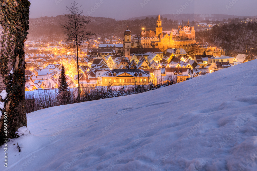Fototapeta premium Schloss Hohenzollern in Sigmaringen Germany