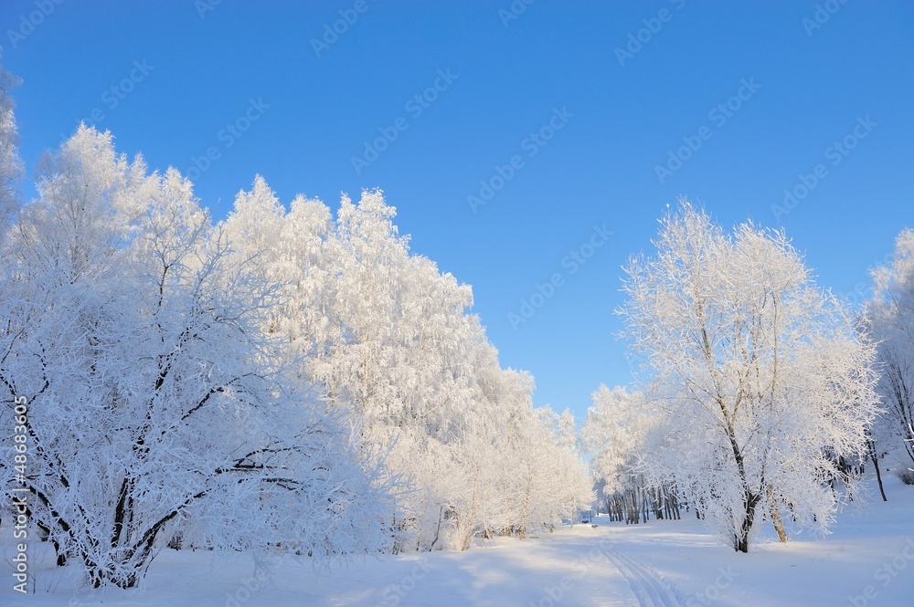 Winter park Winter park