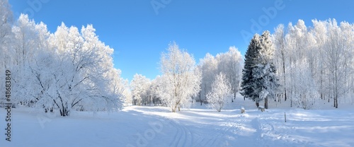 Winter park © byrdyak