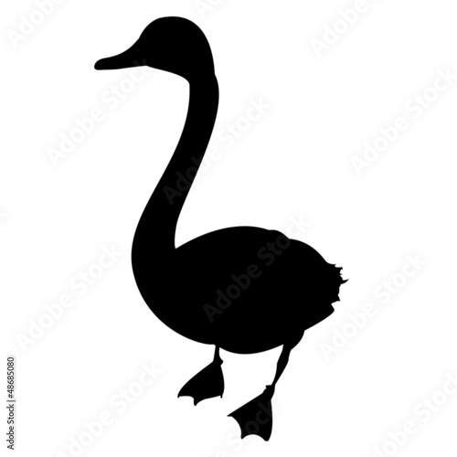 Gans Vektor Silhouette