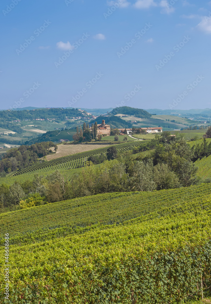 Weinlandschaft im Piemont nahe dem Weinort Asti
