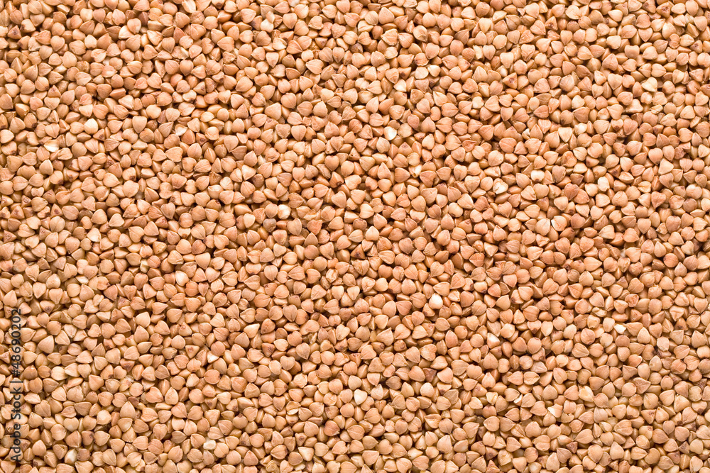 Fototapeta premium buckwheat