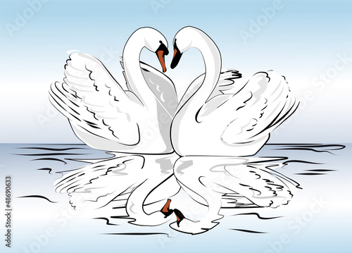 pair of swans