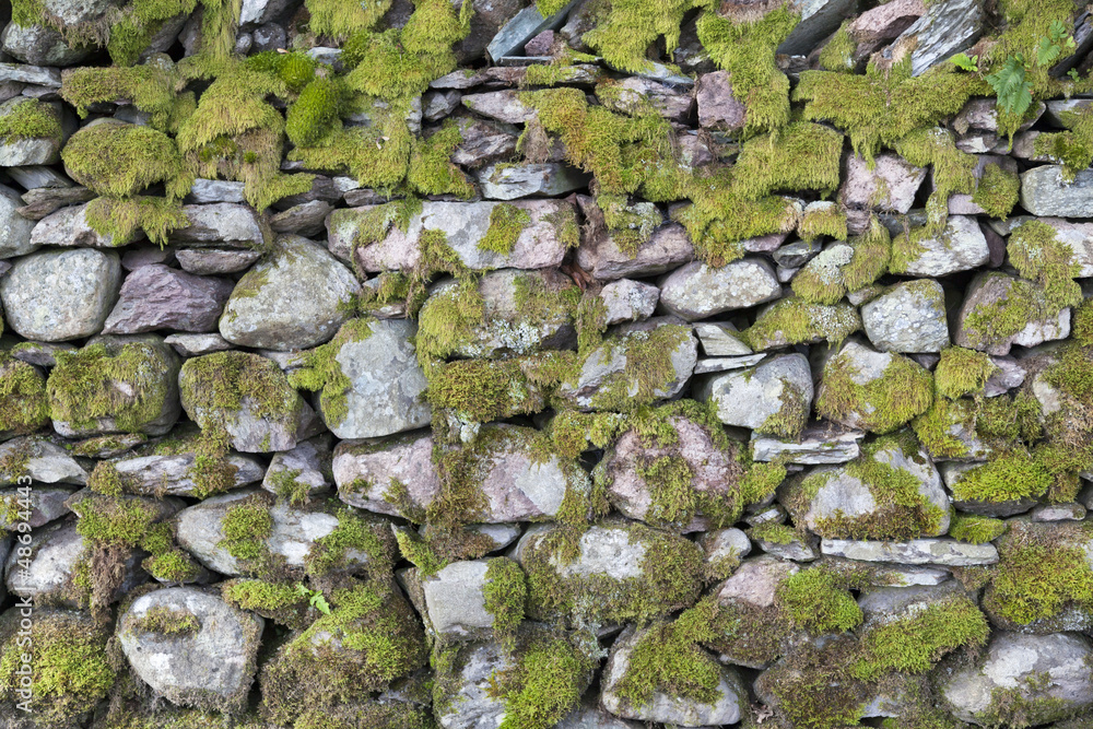 Natursteinmauer mit Moos überwachsen