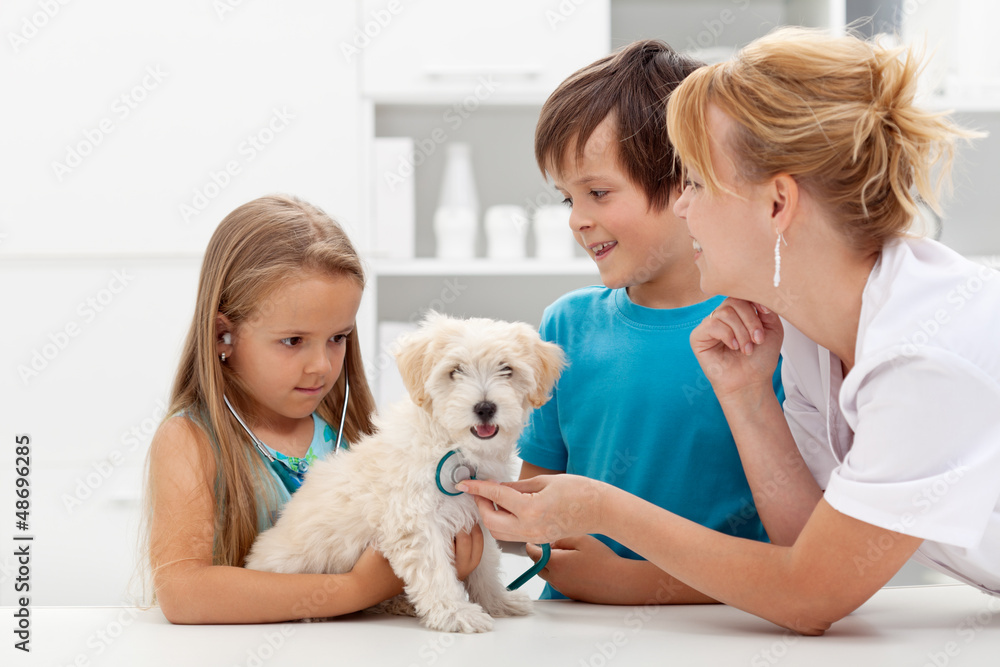 Kids at the veterinary doctor with their pet Kids at the veterinary doctor with their pet