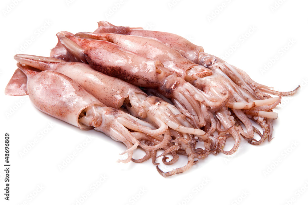 a group of fresh squid