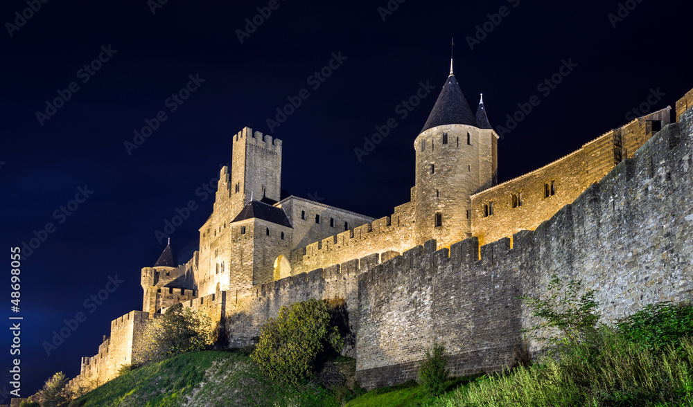 Carcassone medieval castle night view.