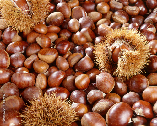 A background of sweet chestnuts