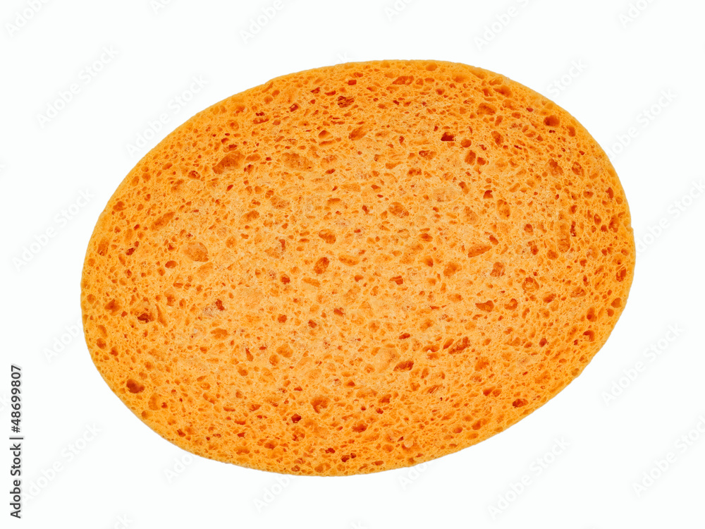 Schwamm StockFoto Adobe Stock