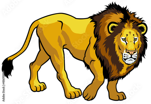 lion on white