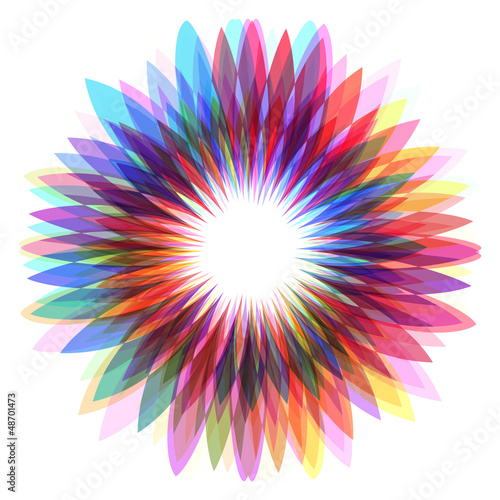 colorful flower, abstract shape illustration