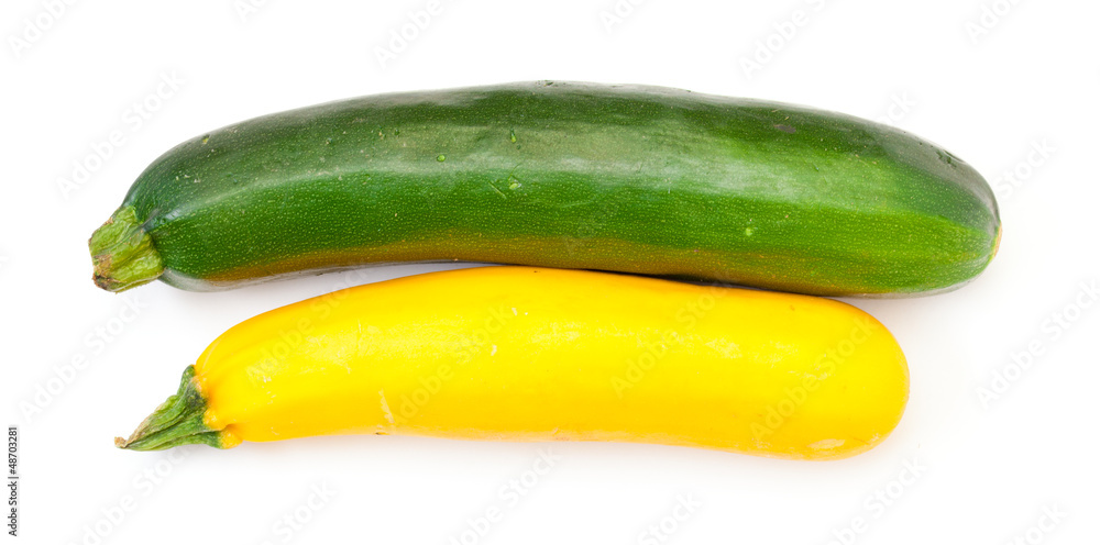 Two Fresh Vegetable Zucchini Two Fresh Vegetable Zucchini