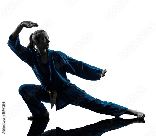 karate vietvodao martial arts woman silhouette
