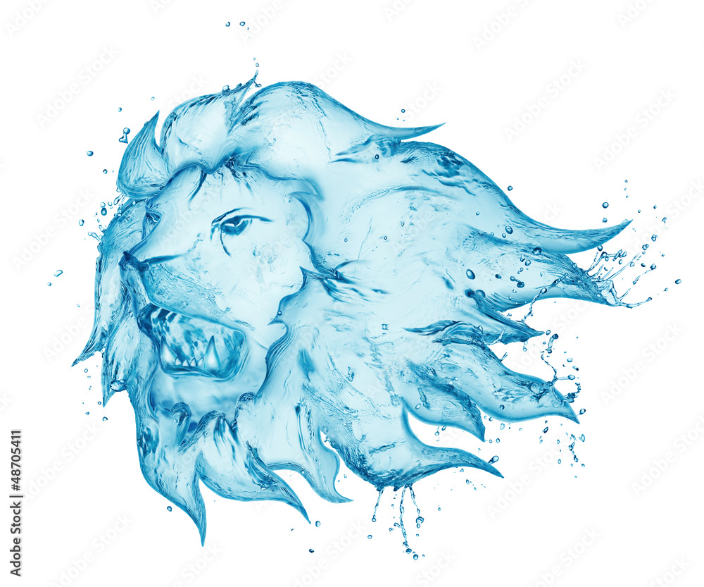 Obraz premium water splash lion isolated on white background