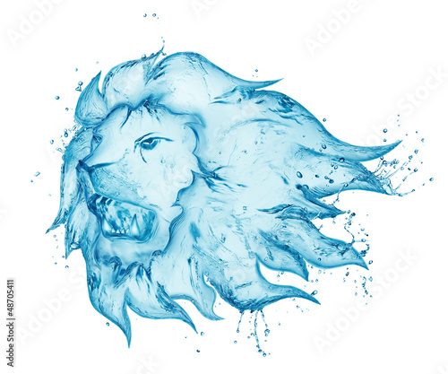 Fototapeta Naklejka Na Ścianę i Meble -  water splash lion isolated on white background