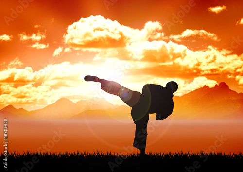 Stock illustration of Karate training