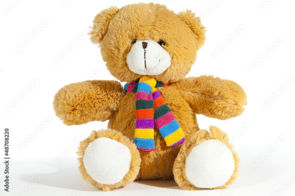 Obraz premium Teddy bear
