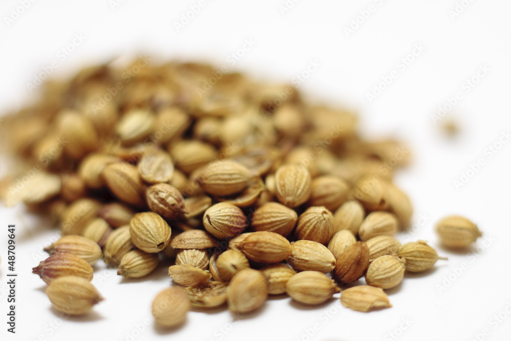 Croiander seeds