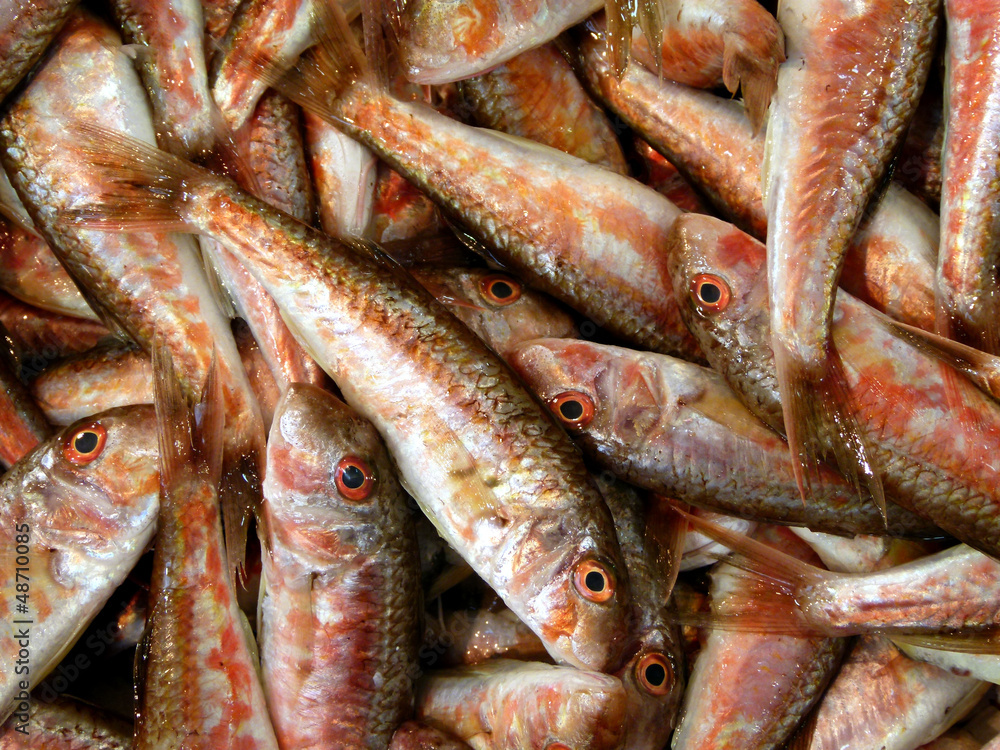 Fresh fishes in a market	