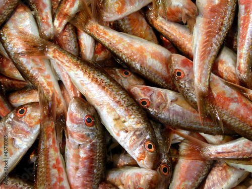 Fresh fishes in a market 