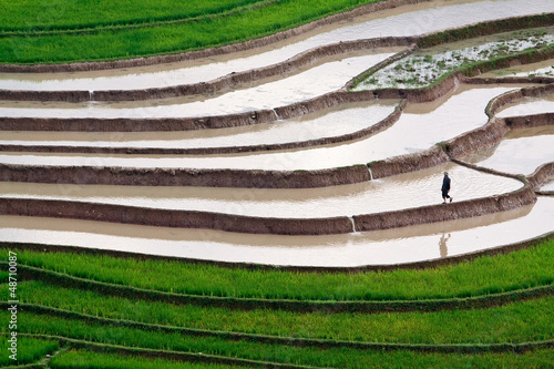 terraced rice fields with water in Mu Cang Chai, Yen Bai, Vietna photo