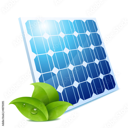 panel & leaves