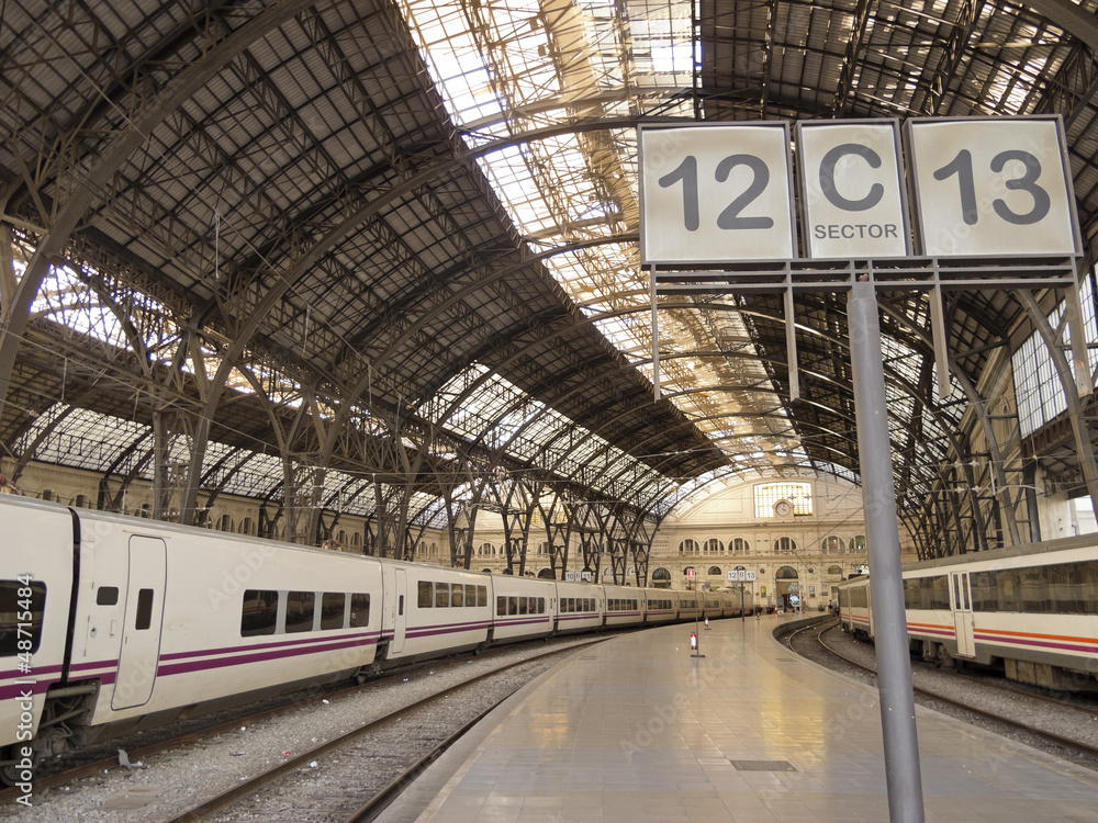 Obraz premium Train station. Barcelona.