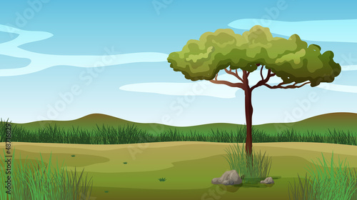 A tree and a beautiful landscape © GraphicsRF