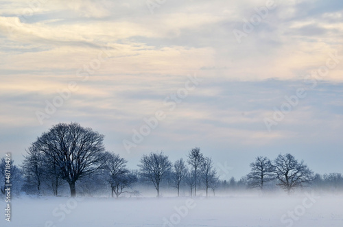 Misty and frosty day © olandsfokus