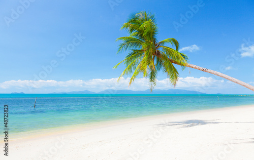 beautiful beach with coconut palm and sea