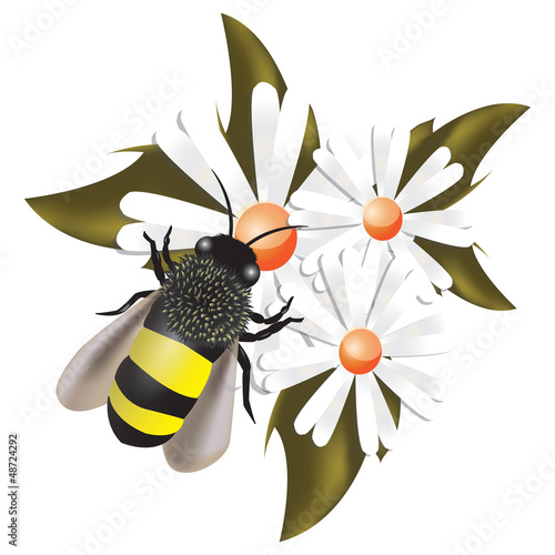 ape su fiori
