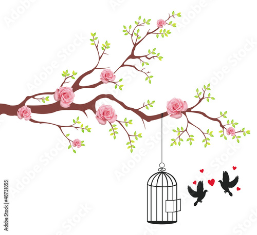 Bird of freeing from the cage to it's lover
