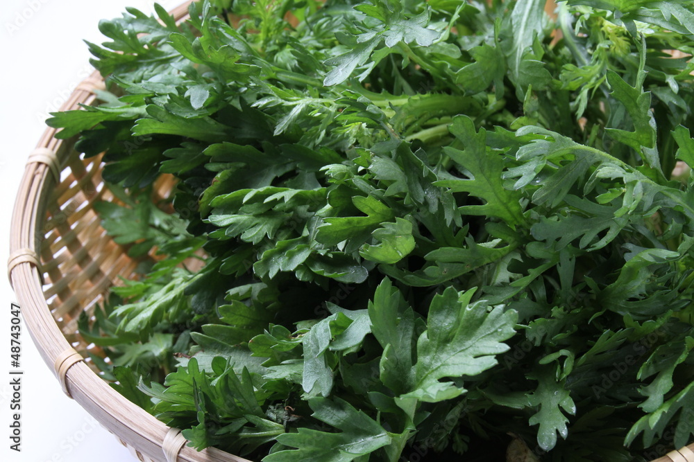 春菊 菊菜 Stock 写真 Adobe Stock 春菊 菊菜 Stock 写真 Adobe Stock