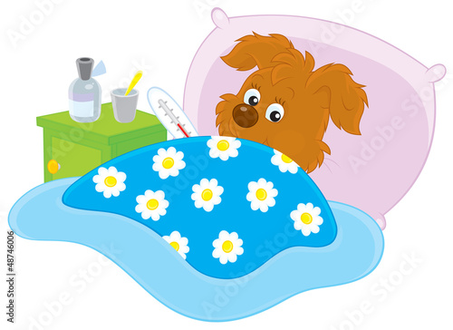 Ill pup lying in his bed with a thermometer