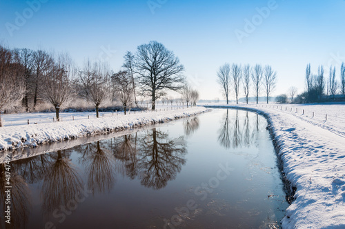 Reflected trees in a curved river
