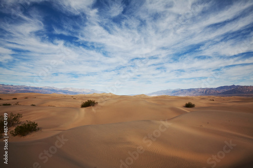 Fototapeta Naklejka Na Ścianę i Meble -  Desert