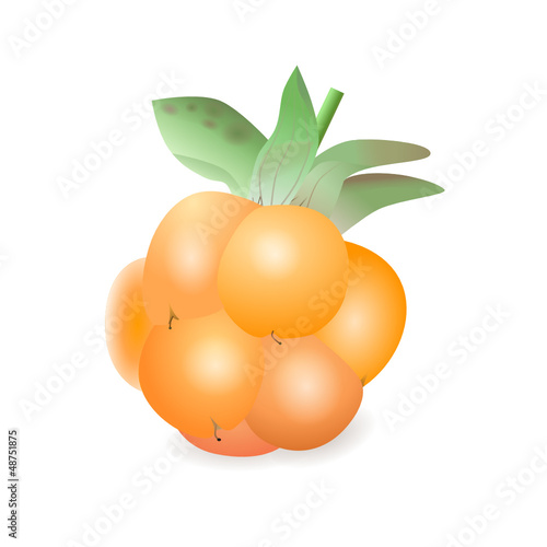 Cloudberry