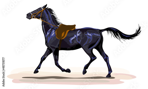 black horse trotting with saddle