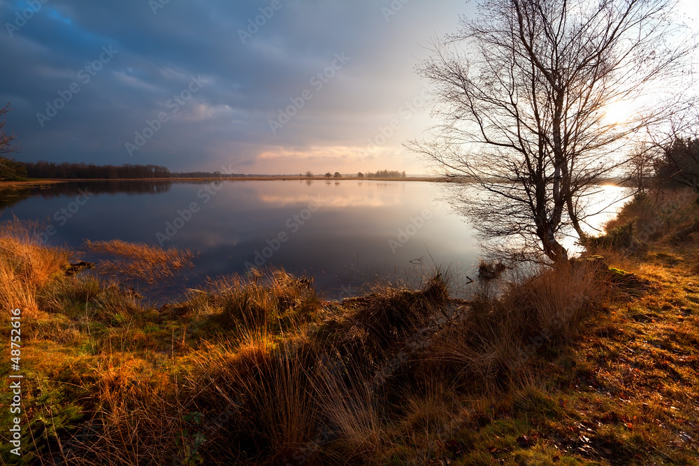 calm wild pond in Dwingelderveld