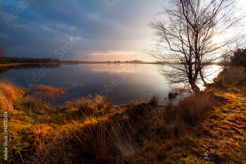 calm wild pond in Dwingelderveld