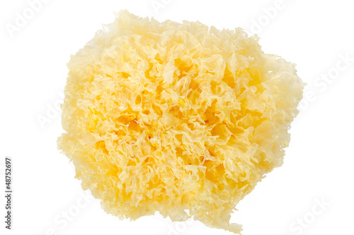 Tremella fuciformis