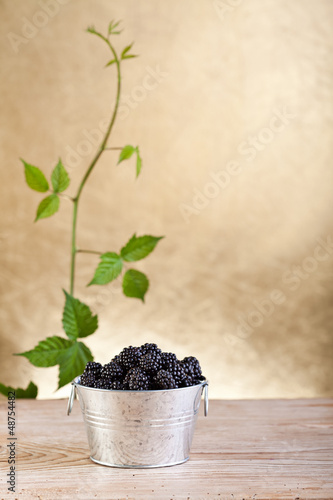 Fresh blackberries in a bucket on old table