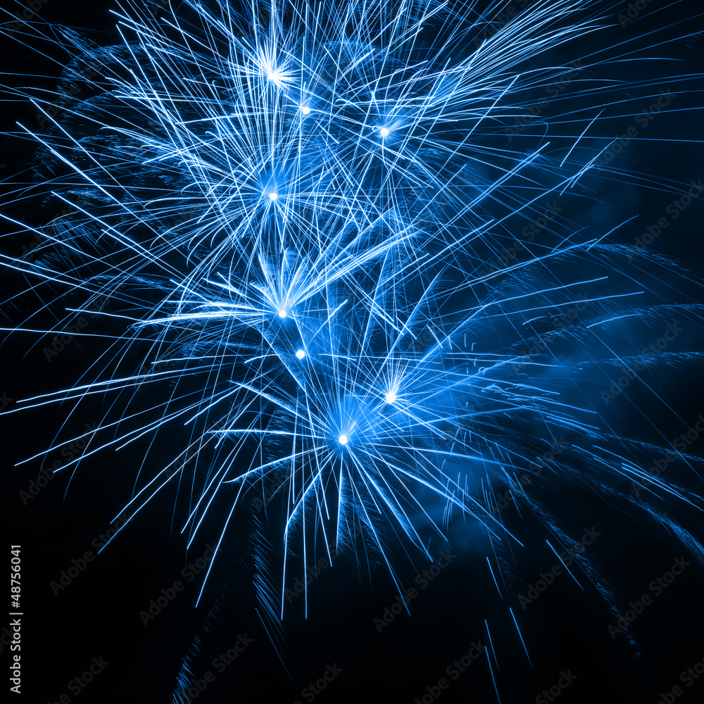 Obraz premium Fireworks in the night sky